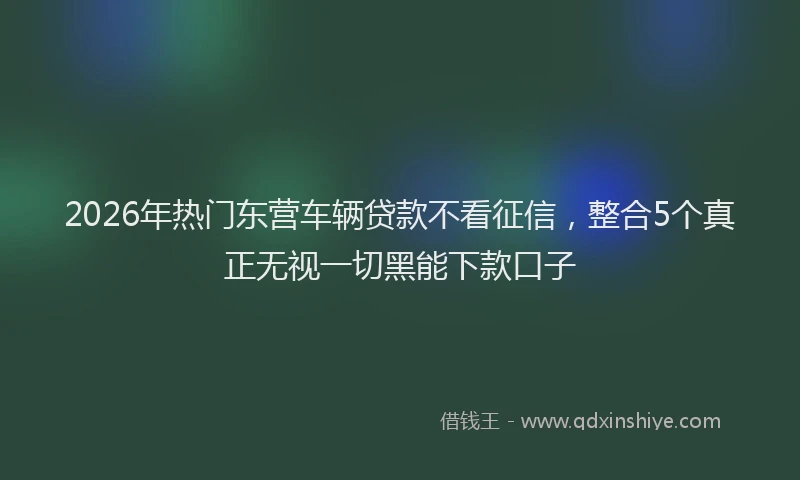 2026年热门东营车辆贷款不看征信，整合5个真正无视一切黑能下款口子