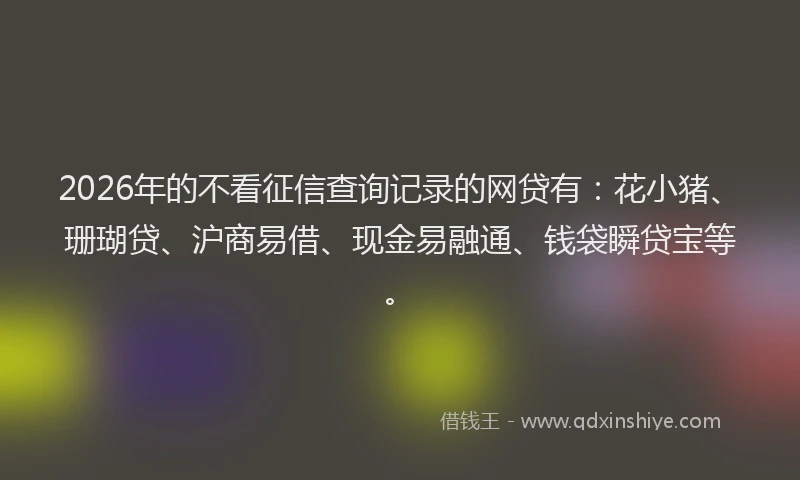 2026年的不看征信查询记录的网贷有：花小猪、珊瑚贷、沪商易借、现金易融通、钱袋瞬贷宝等。