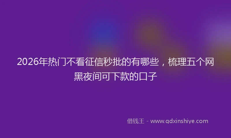 2026年热门不看征信秒批的有哪些，梳理五个网黑夜间可下款的口子