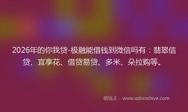 2026年的你我贷-极融能借钱到微信吗有：翡翠信贷、宜享花、借贷易贷、多米、朵拉购等。