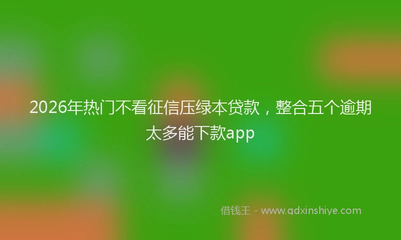 2026年热门不看征信压绿本贷款，整合五个逾期太多能下款app