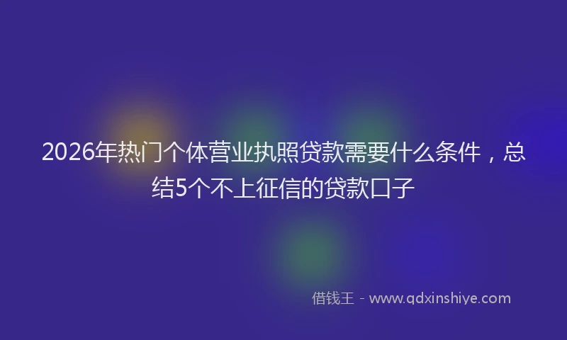 2026年热门个体营业执照贷款需要什么条件，总结5个不上征信的贷款口子