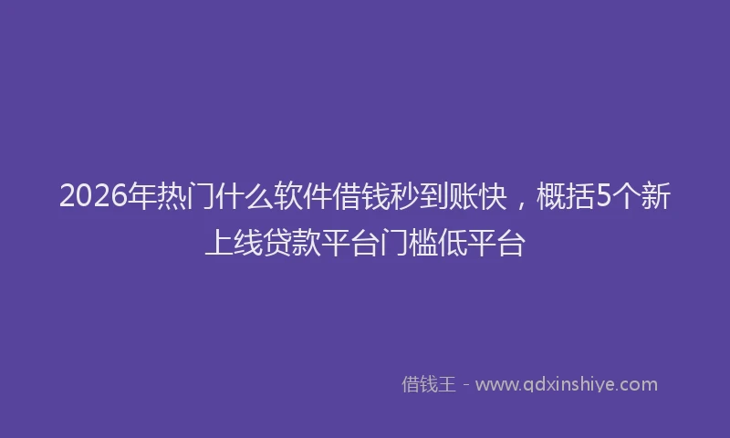 2026年热门什么软件借钱秒到账快，概括5个新上线贷款平台门槛低平台