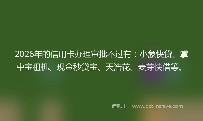 2026年的信用卡办理审批不过有：小象快贷、掌中宝租机、现金秒贷宝、天浩花、麦芽快借等。