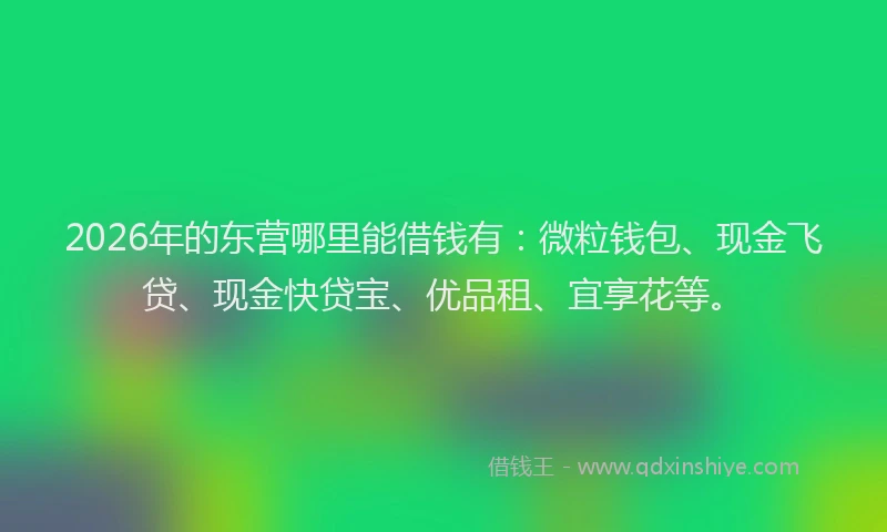 2026年的东营哪里能借钱有：微粒钱包、现金飞贷、现金快贷宝、优品租、宜享花等。