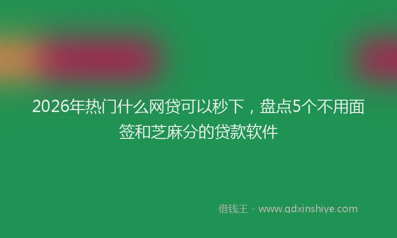 2026年热门什么网贷可以秒下，盘点5个不用面签和芝麻分的贷款软件