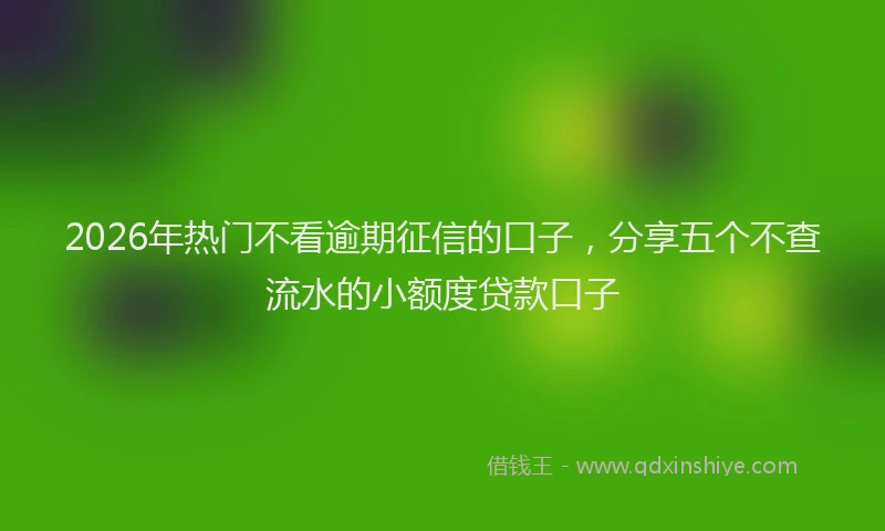 2026年热门不看逾期征信的口子，分享五个不查流水的小额度贷款口子