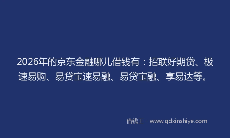 2026年的京东金融哪儿借钱有：招联好期贷、极速易购、易贷宝速易融、易贷宝融、享易达等。