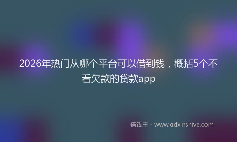 2026年热门从哪个平台可以借到钱，概括5个不看欠款的贷款app