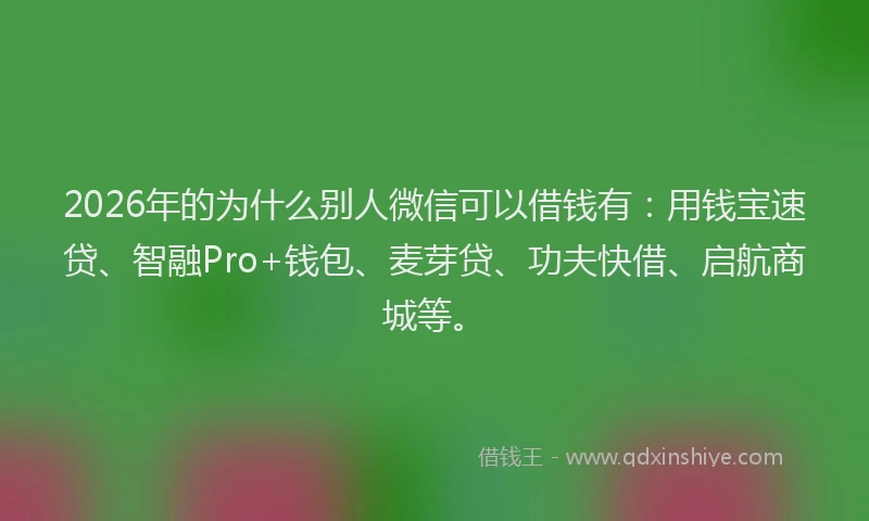 2026年的为什么别人微信可以借钱有：用钱宝速贷、智融Pro+钱包、麦芽贷、功夫快借、启航商城等。