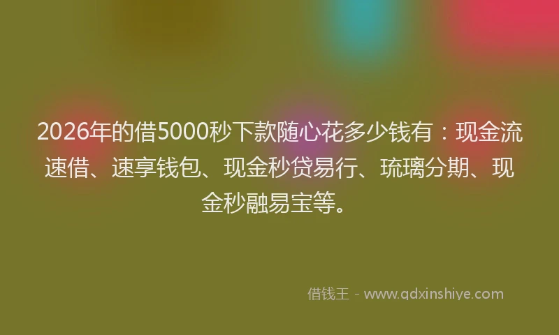 2026年的借5000秒下款随心花多少钱有：现金流速借、速享钱包、现金秒贷易行、琉璃分期、现金秒融易宝等。