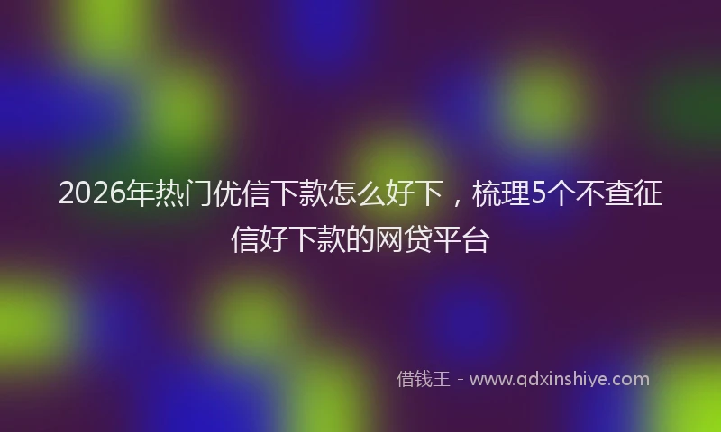 2026年热门优信下款怎么好下，梳理5个不查征信好下款的网贷平台
