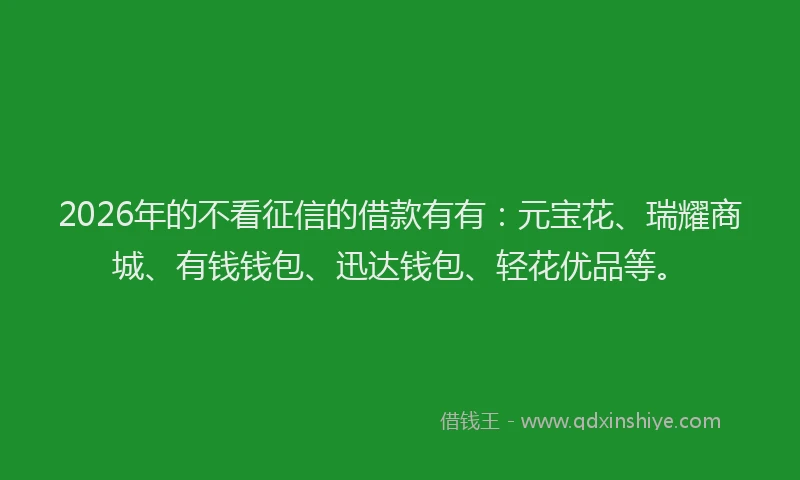2026年的不看征信的借款有有：元宝花、瑞耀商城、有钱钱包、迅达钱包、轻花优品等。