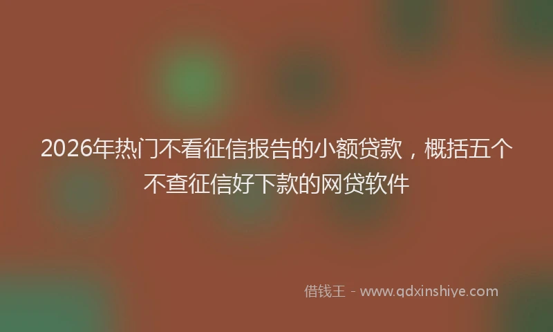 2026年热门不看征信报告的小额贷款，概括五个不查征信好下款的网贷软件