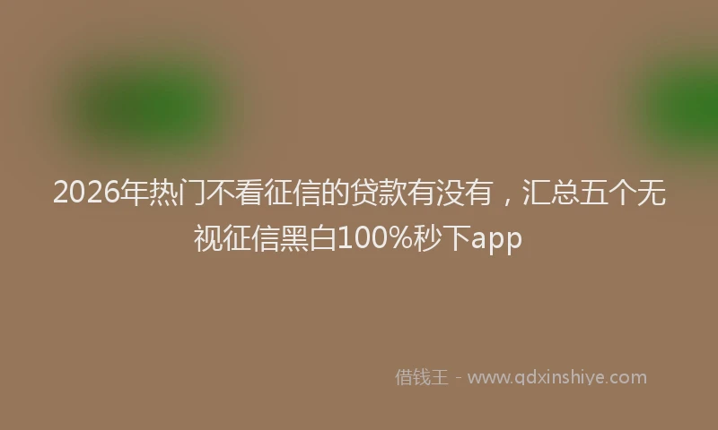 2026年热门不看征信的贷款有没有，汇总五个无视征信黑白100%秒下app