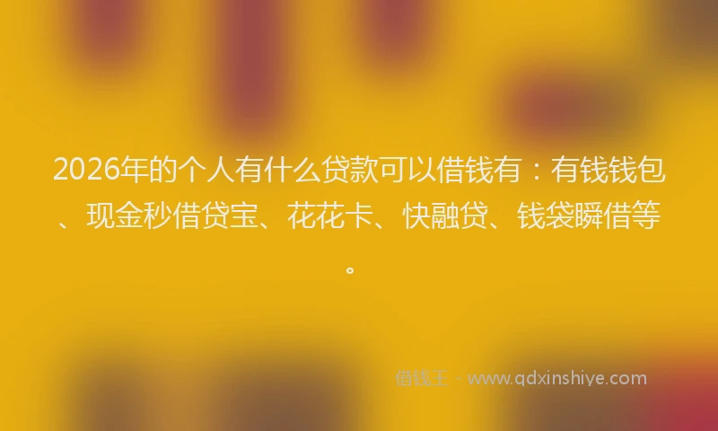 2026年的个人有什么贷款可以借钱有：有钱钱包、现金秒借贷宝、花花卡、快融贷、钱袋瞬借等。