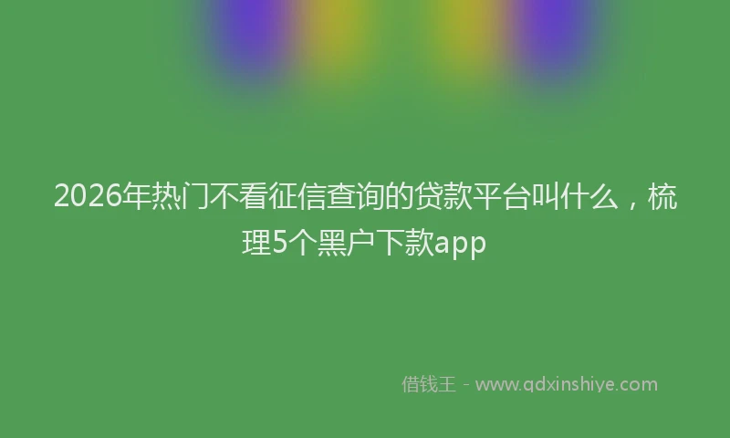 2026年热门不看征信查询的贷款平台叫什么，梳理5个黑户下款app