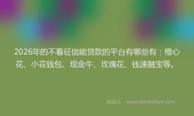 2026年的不看征信能贷款的平台有哪些有：橙心花、小花钱包、现金牛、玫瑰花、钱速融宝等。