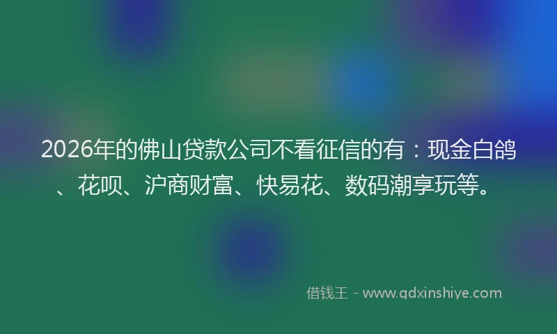 2026年的佛山贷款公司不看征信的有：现金白鸽、花呗、沪商财富、快易花、数码潮享玩等。