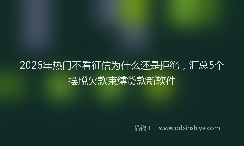 2026年热门不看征信为什么还是拒绝，汇总5个摆脱欠款束缚贷款新软件