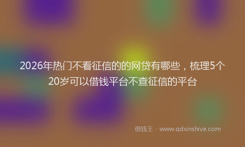 2026年热门不看征信的的网贷有哪些，梳理5个20岁可以借钱平台不查征信的平台