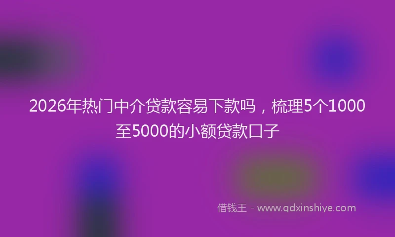 2026年热门中介贷款容易下款吗，梳理5个1000至5000的小额贷款口子