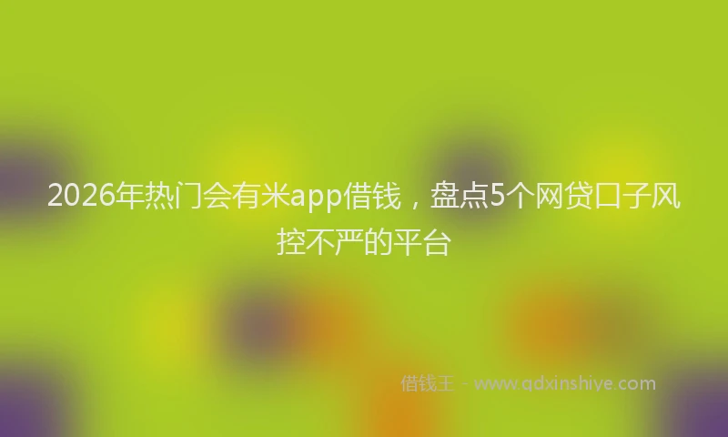 2026年热门会有米app借钱，盘点5个网贷口子风控不严的平台
