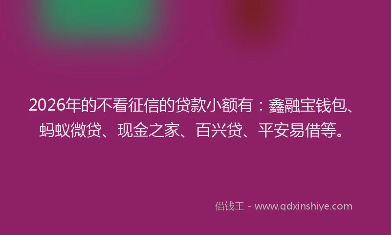 2026年的不看征信的贷款小额有：鑫融宝钱包、蚂蚁微贷、现金之家、百兴贷、平安易借等。