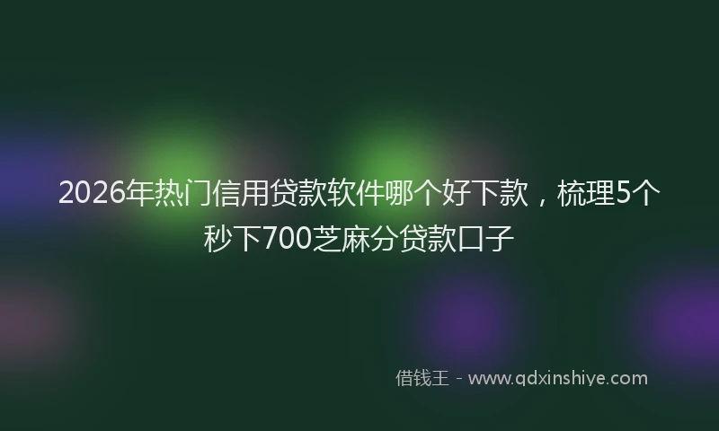 2026年热门信用贷款软件哪个好下款，梳理5个秒下700芝麻分贷款口子