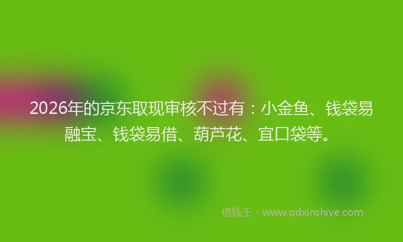 2026年的京东取现审核不过有：小金鱼、钱袋易融宝、钱袋易借、葫芦花、宜口袋等。