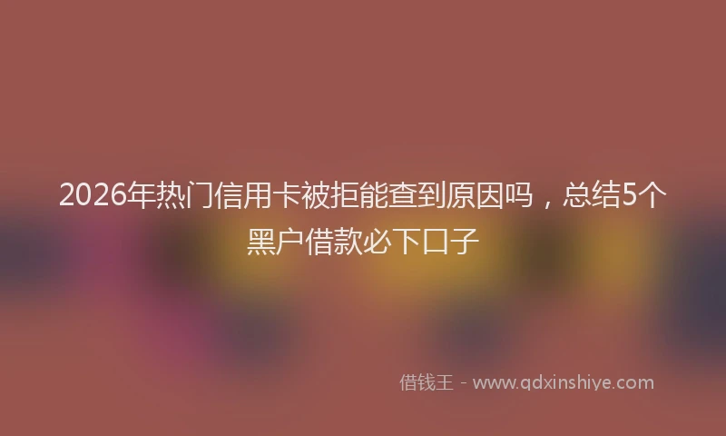 2026年热门信用卡被拒能查到原因吗，总结5个黑户借款必下口子