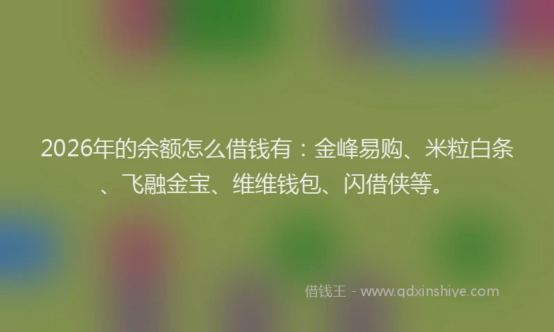 2026年的余额怎么借钱有：金峰易购、米粒白条、飞融金宝、维维钱包、闪借侠等。