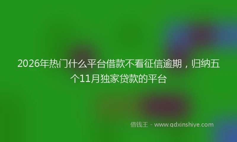 2026年热门什么平台借款不看征信逾期，归纳五个11月独家贷款的平台