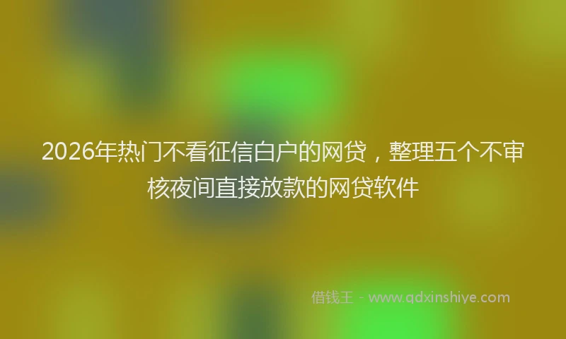 2026年热门不看征信白户的网贷，整理五个不审核夜间直接放款的网贷软件