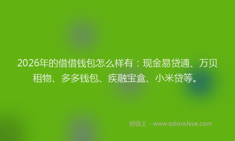 2026年的借借钱包怎么样有：现金易贷通、万贝租物、多多钱包、疾融宝盒、小米贷等。
