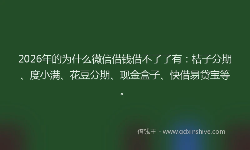 2026年的为什么微信借钱借不了了有：桔子分期、度小满、花豆分期、现金盒子、快借易贷宝等。