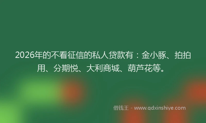 2026年的不看征信的私人贷款有：金小豚、拍拍用、分期悦、大利商城、葫芦花等。
