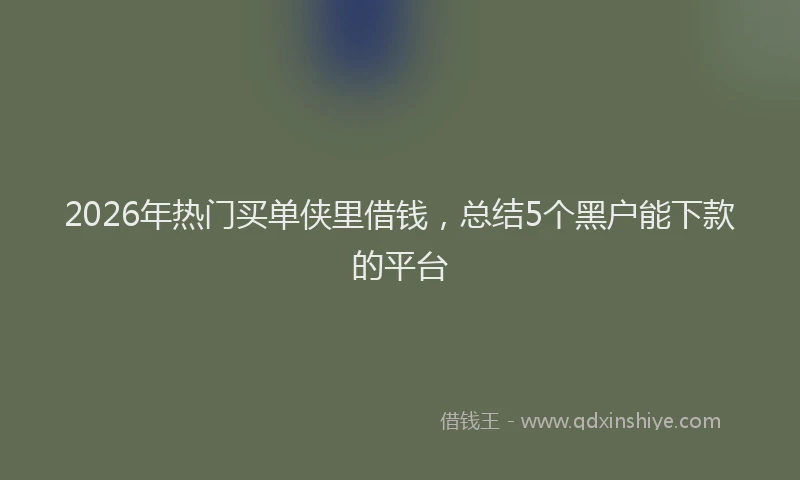 2026年热门买单侠里借钱，总结5个黑户能下款的平台