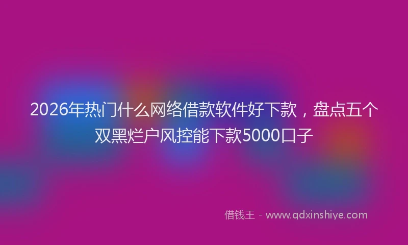 2026年热门什么网络借款软件好下款，盘点五个双黑烂户风控能下款5000口子