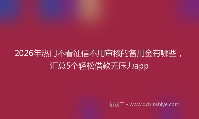 2026年热门不看征信不用审核的备用金有哪些，汇总5个轻松借款无压力app