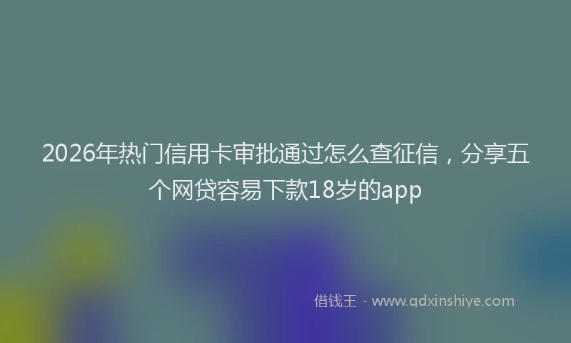 2026年热门信用卡审批通过怎么查征信，分享五个网贷容易下款18岁的app