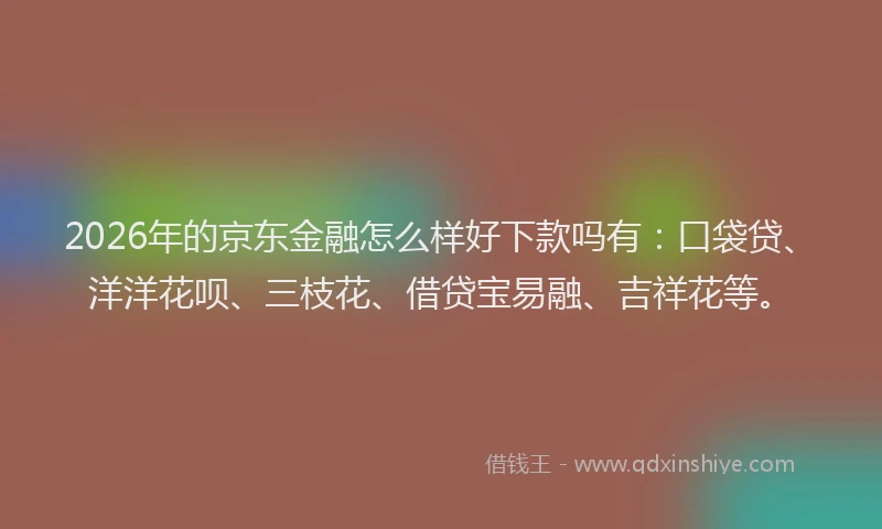 2026年的京东金融怎么样好下款吗有：口袋贷、洋洋花呗、三枝花、借贷宝易融、吉祥花等。