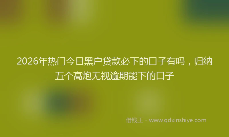 2026年热门今日黑户贷款必下的口子有吗，归纳五个高炮无视逾期能下的口子