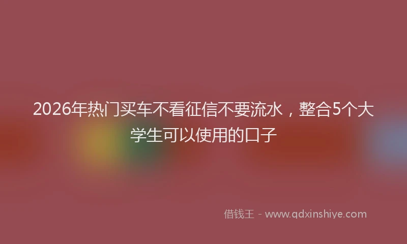 2026年热门买车不看征信不要流水，整合5个大学生可以使用的口子