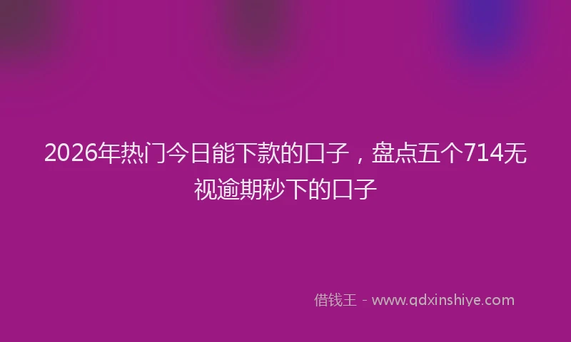 2026年热门今日能下款的口子，盘点五个714无视逾期秒下的口子