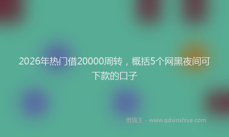 2026年热门借20000周转，概括5个网黑夜间可下款的口子