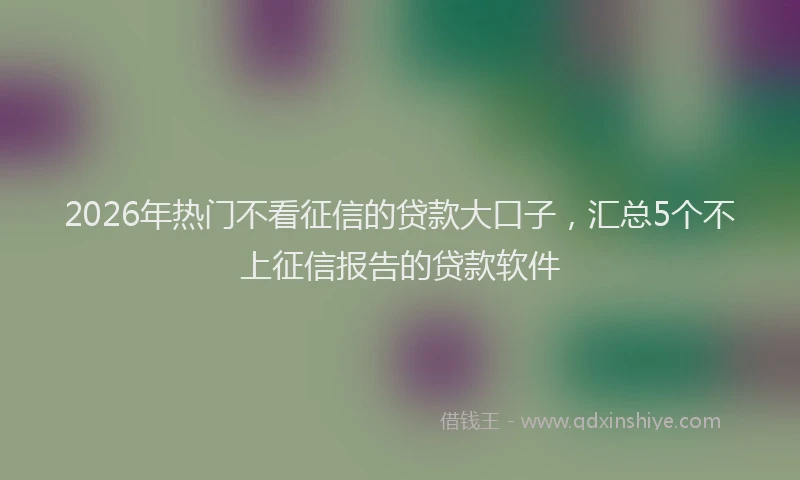 2026年热门不看征信的贷款大口子，汇总5个不上征信报告的贷款软件
