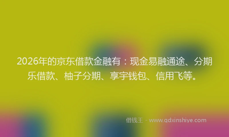 2026年的京东借款金融有：现金易融通途、分期乐借款、柚子分期、享宇钱包、信用飞等。