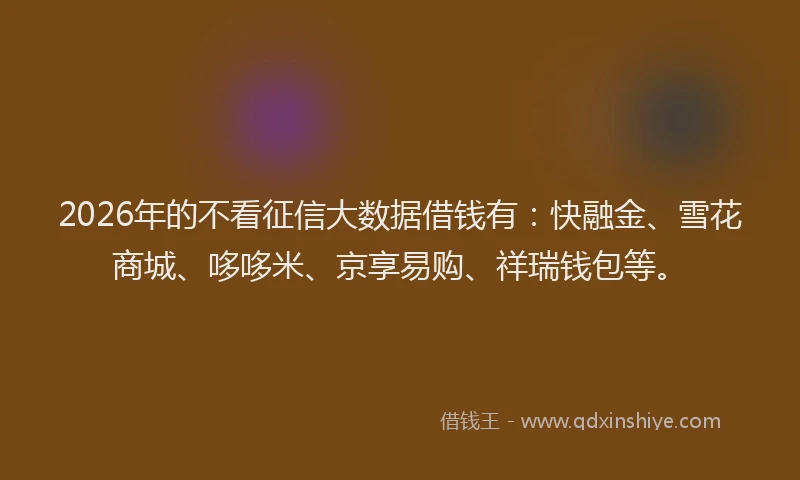 2026年的不看征信大数据借钱有：快融金、雪花商城、哆哆米、京享易购、祥瑞钱包等。
