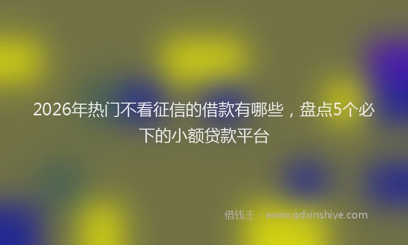 2026年热门不看征信的借款有哪些，盘点5个必下的小额贷款平台